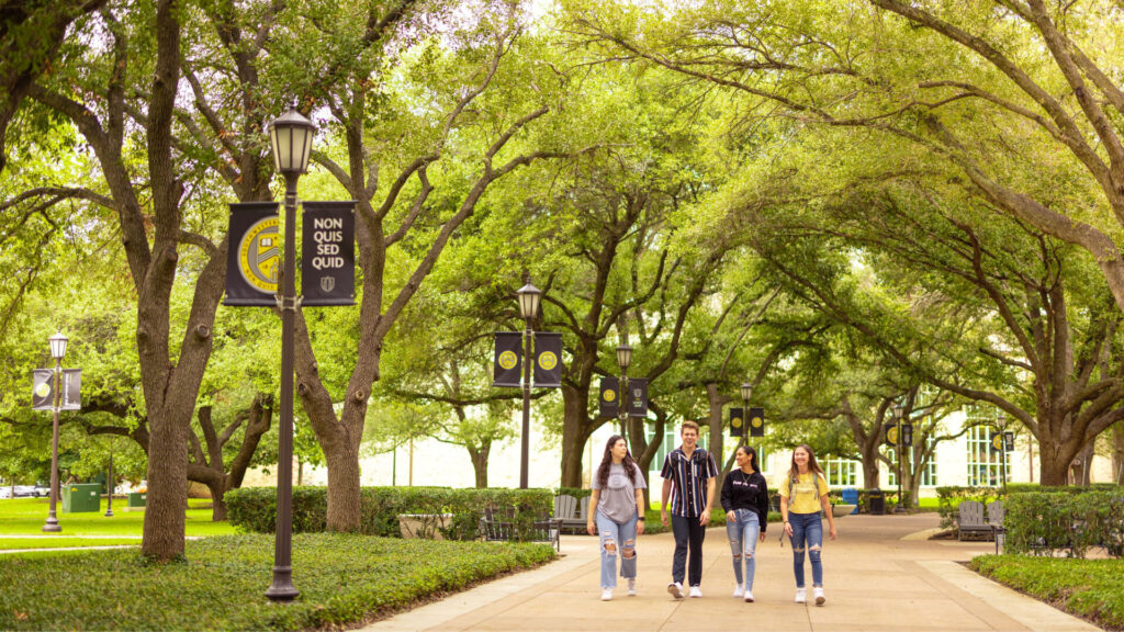 Lindauer Recognized as a Top Executive Search Firm for Higher Education