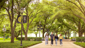 Lindauer Recognized as a Top Executive Search Firm for Higher Education