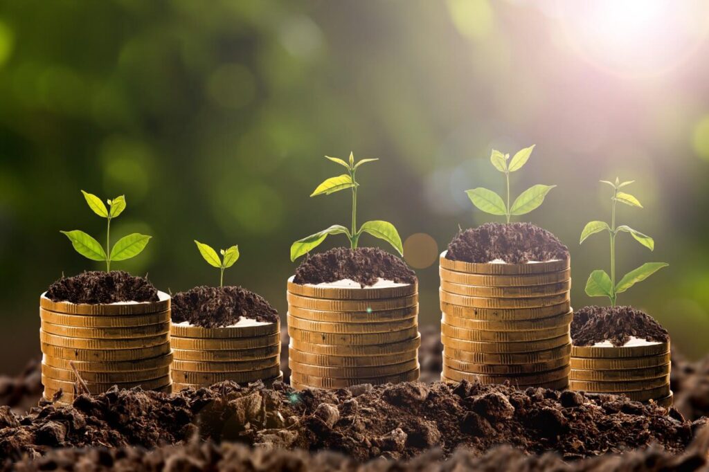 What’s the Difference Between Fundraising, Development, and Advancement?
