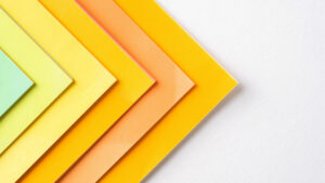 Cultivating Leadership Skills Wherever You Are in Your Career: Advice for Rising Professionals